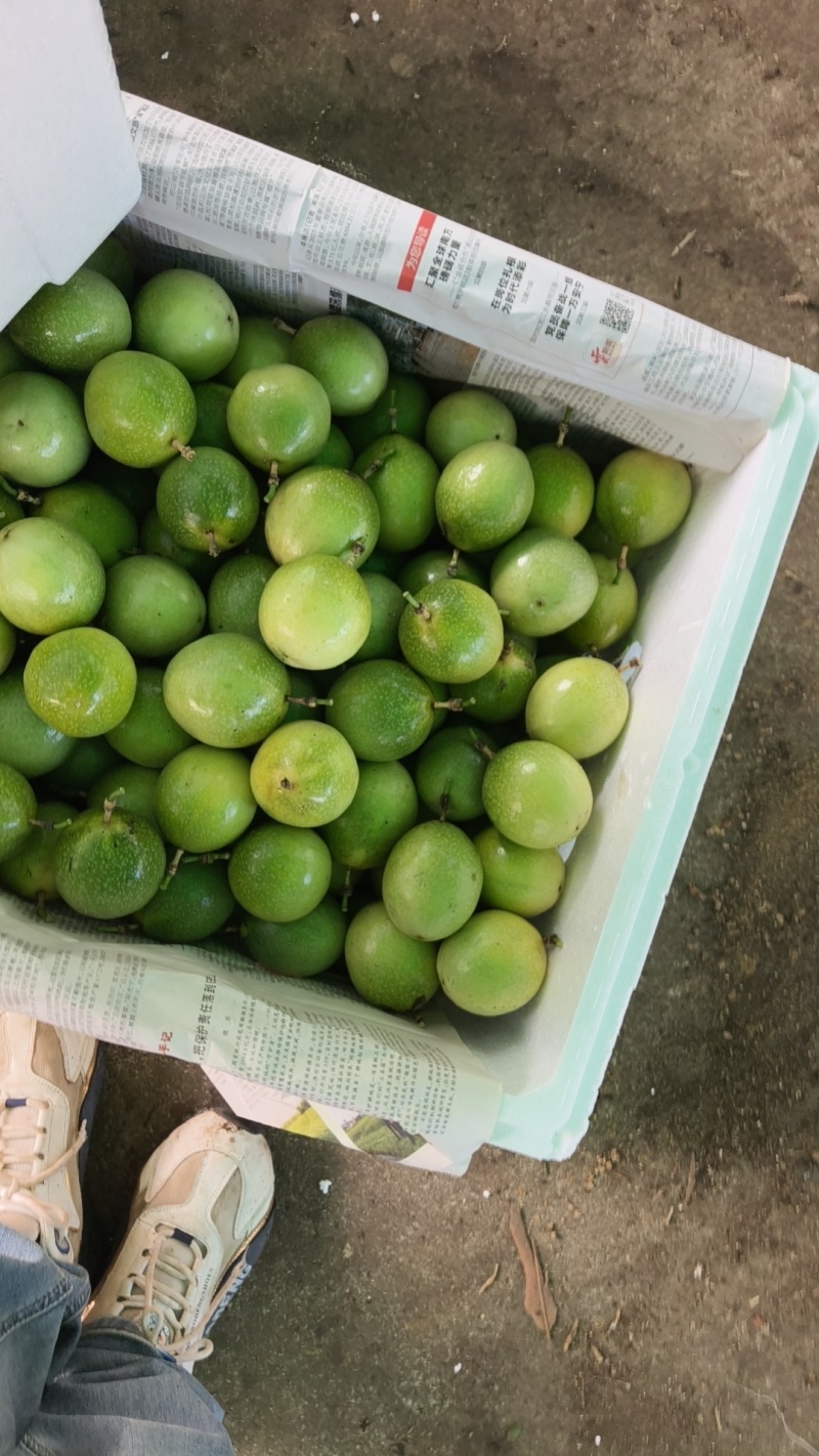 1.黄金百香果纯甜无酸