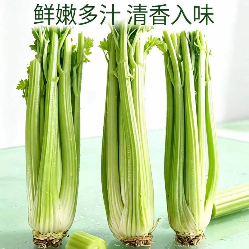 甘肃芹菜品质保证诚信经营接电商市场商超欢迎联系