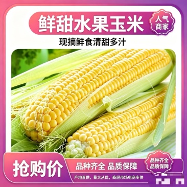 甘肃水果玉米品质保证诚信经营欢迎联系接商超市场电商
