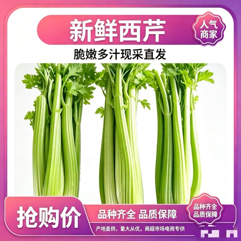 甘肃芹菜品质保证诚信经营接电商市场商超欢迎联系