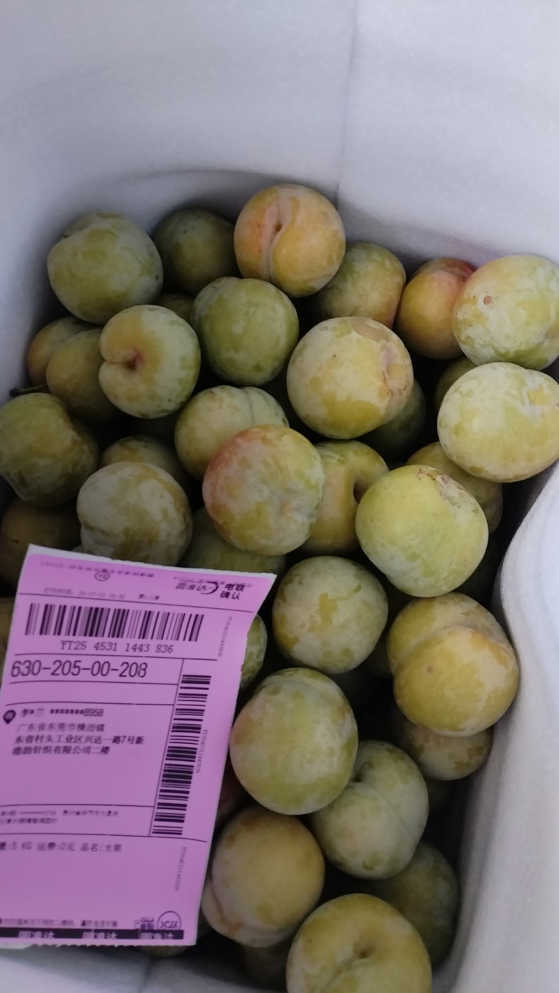 凤凰李