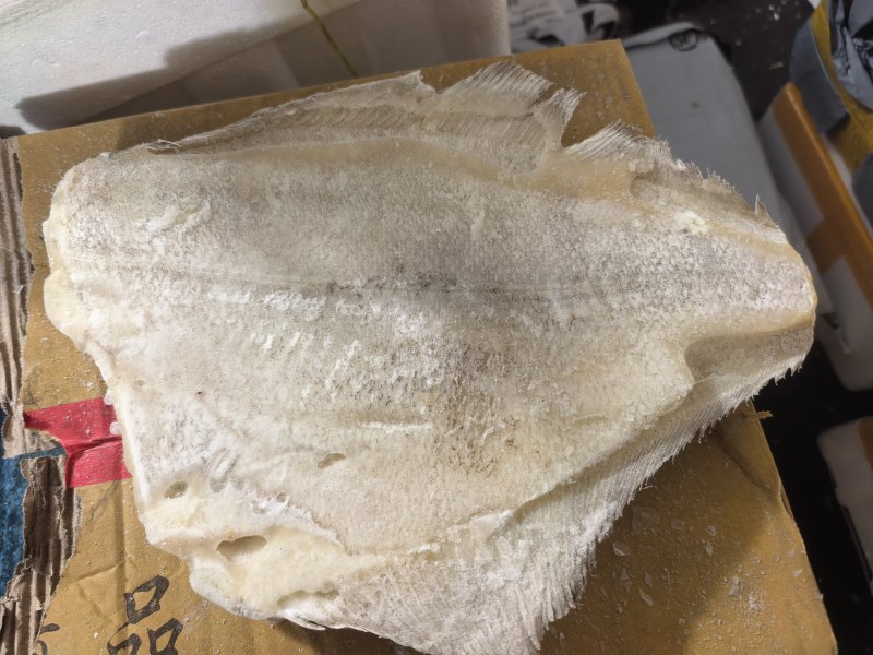 蝶鱼比目鱼