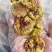 威海青皮无花果干饼