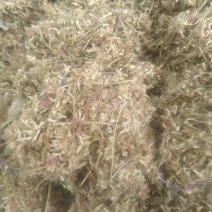 合欢花