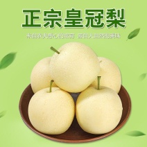 河北皇冠梨核心产区，深州产区【格格果蔬】