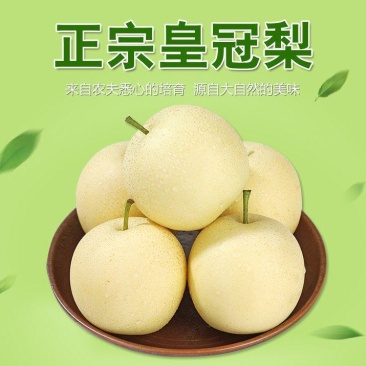 河北皇冠梨核心产区，深州产区【格格果蔬】