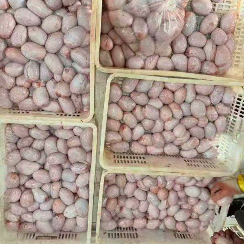 去皮羊宝
