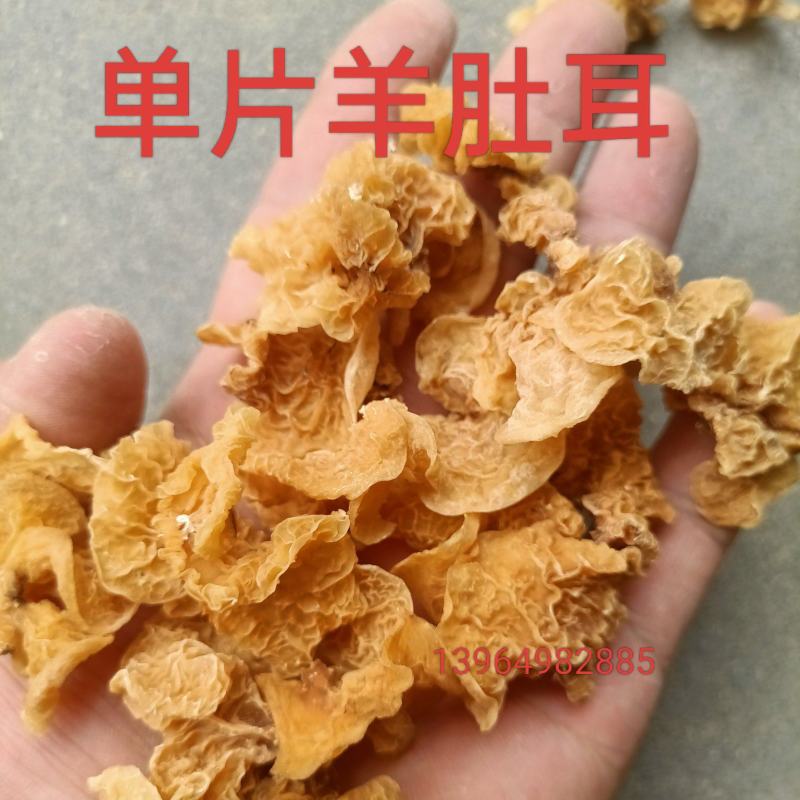 羊肚耳无根单片沙耳优质羊肚耳批发零售精品羊肚耳电商羊肚耳