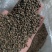 苦荞带壳黑苦荞炒茶酿酒鸟粮宠物配料苦荞