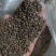 苦荞带壳黑苦荞炒茶酿酒鸟粮宠物配料苦荞