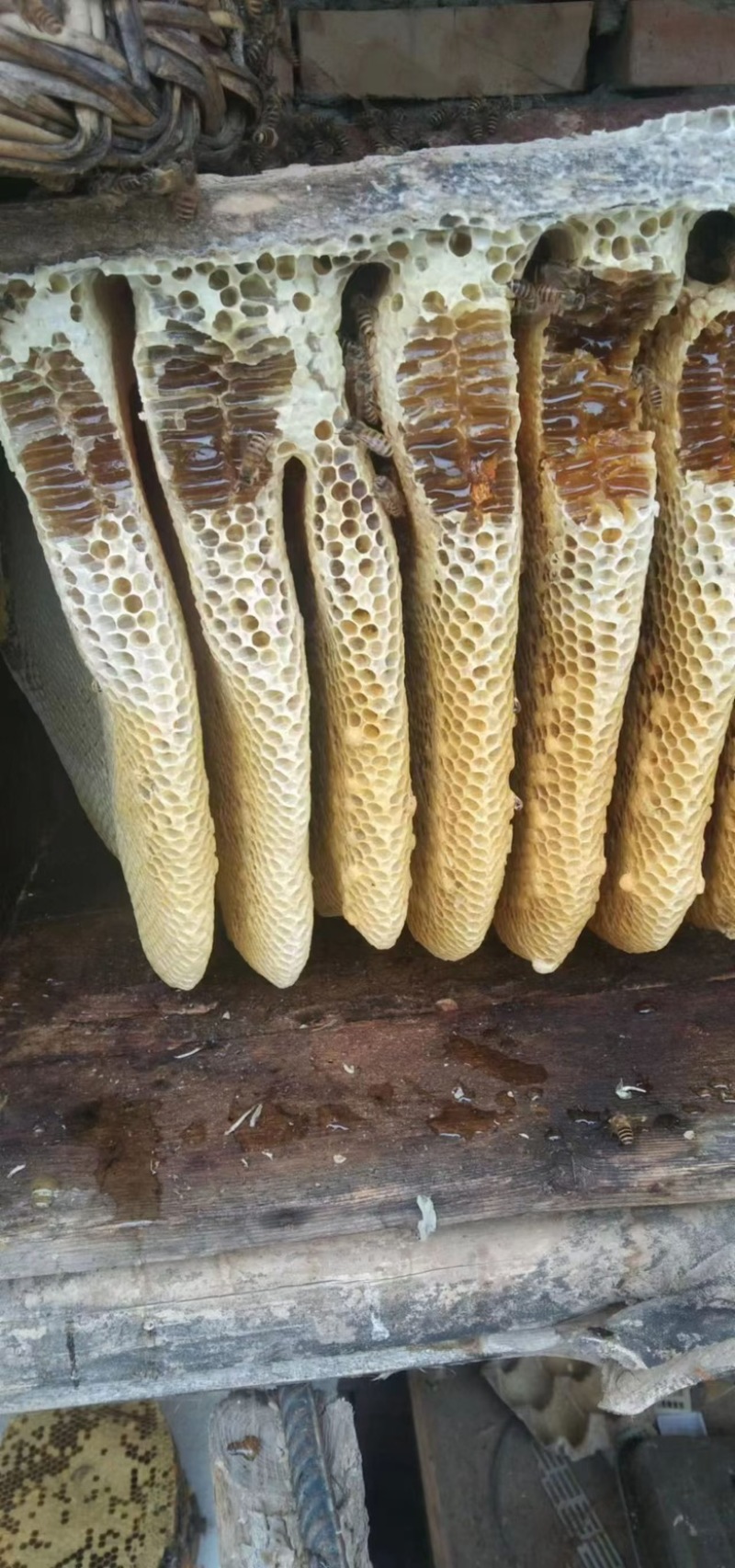 自家养殖土蜂蜜简单过滤***，