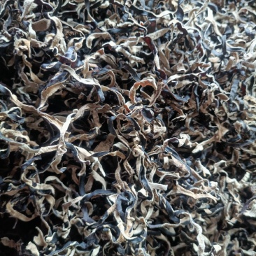 电商头茬木耳丝去根木耳丝优质木耳丝螺蛳粉木耳丝电商丝好货