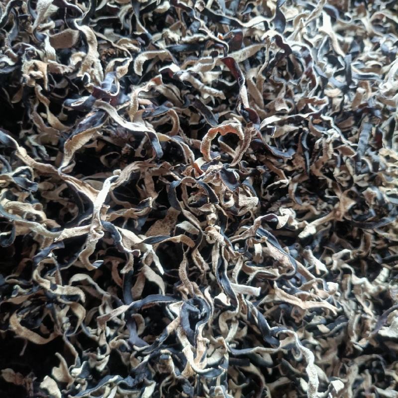 电商头茬木耳丝去根木耳丝优质木耳丝螺蛳粉木耳丝电商丝好货