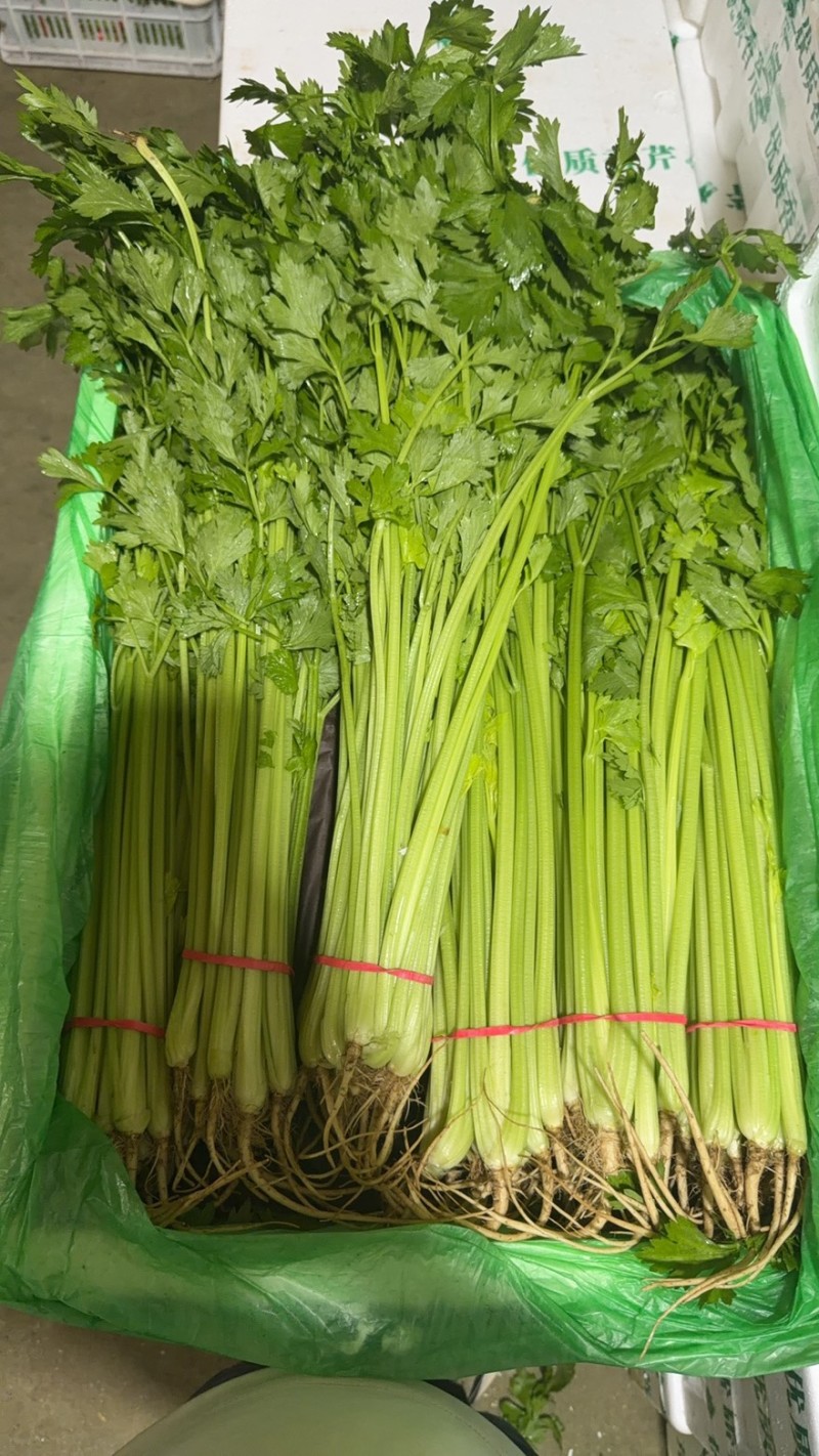 【实力】香芹，产地发货，一手货源，批发品质保证价格美丽