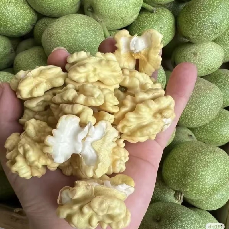 青皮核桃鲜核桃，批发零售，电商平台一件代发