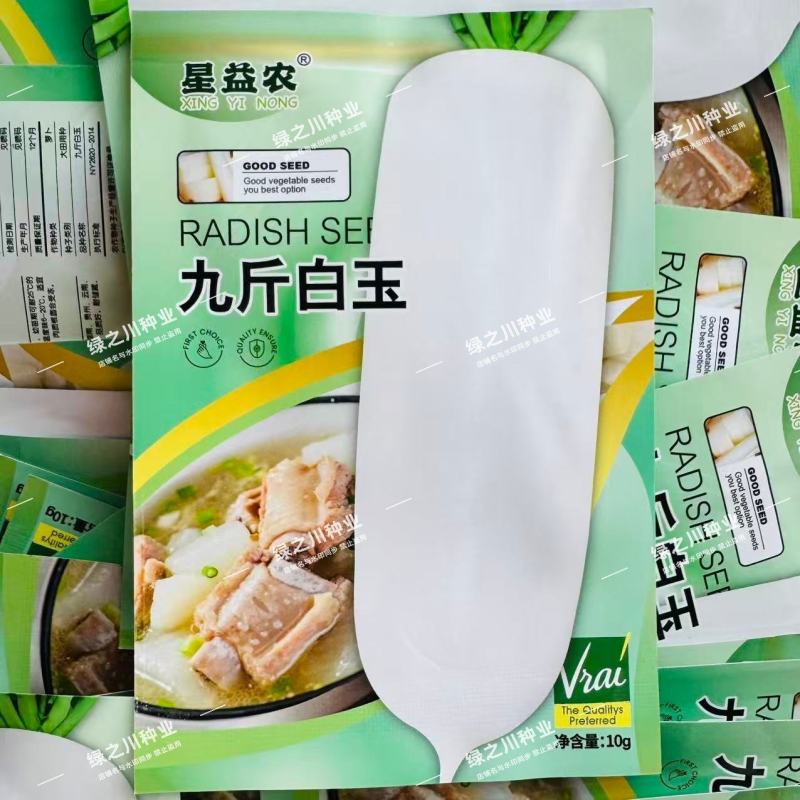 九斤白玉萝卜种子大号白萝卜种子晓富九斤玉萝卜种子大白萝卜