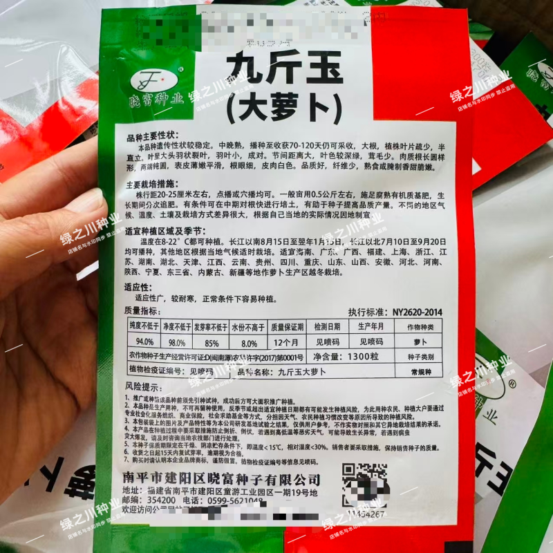 九斤白玉萝卜种子大号白萝卜种子晓富九斤玉萝卜种子大白萝卜