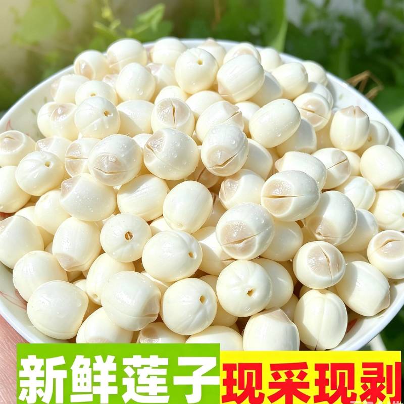 新鲜莲子手工去皮去芯江西广昌白莲鲜莲现摘粉糯炖汤煮粥顺丰