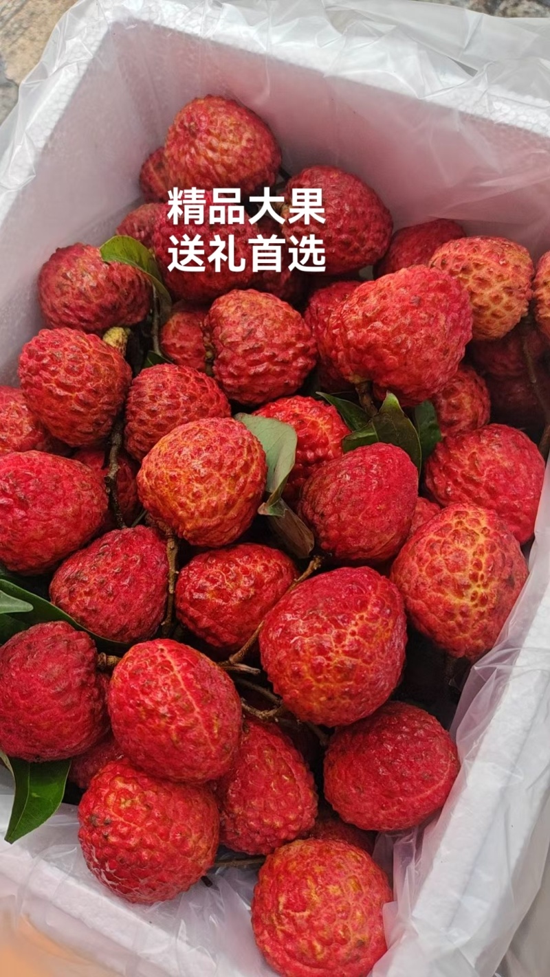正宗仙进奉荔枝