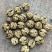 云南薄皮核桃价格美丽质量好走货快对接全国量大从优欢迎询价