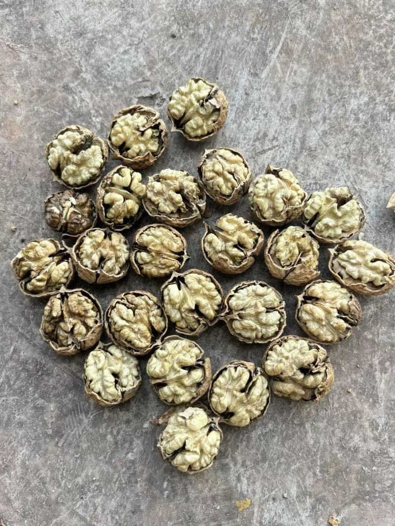 云南薄皮核桃价格美丽质量好走货快对接全国量大从优欢迎询价