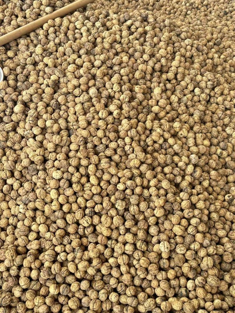 云南薄皮核桃价格美丽质量好走货快对接全国量大从优欢迎询价