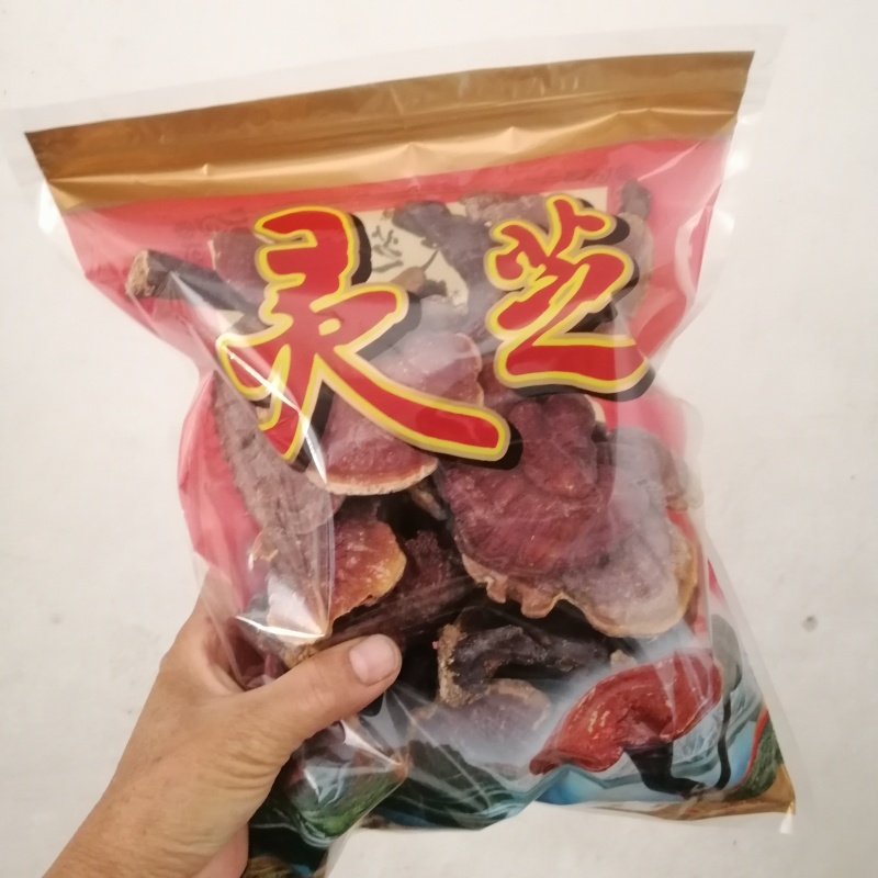 真野生赤灵芝新货金边灵芝仙草整枝去泥蔸无药薰批零一件代发