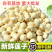 新鲜莲子手工去皮去芯江西广昌白莲鲜莲现摘粉糯炖汤煮粥顺丰