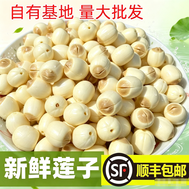 新鲜莲子手工去皮去芯江西广昌白莲鲜莲现摘粉糯炖汤煮粥顺丰