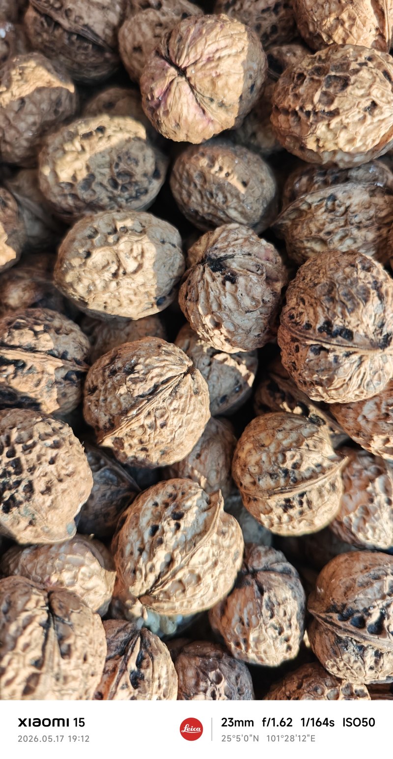 云南薄皮核桃价格美丽质量好走货快对接全国量大从优欢迎询价