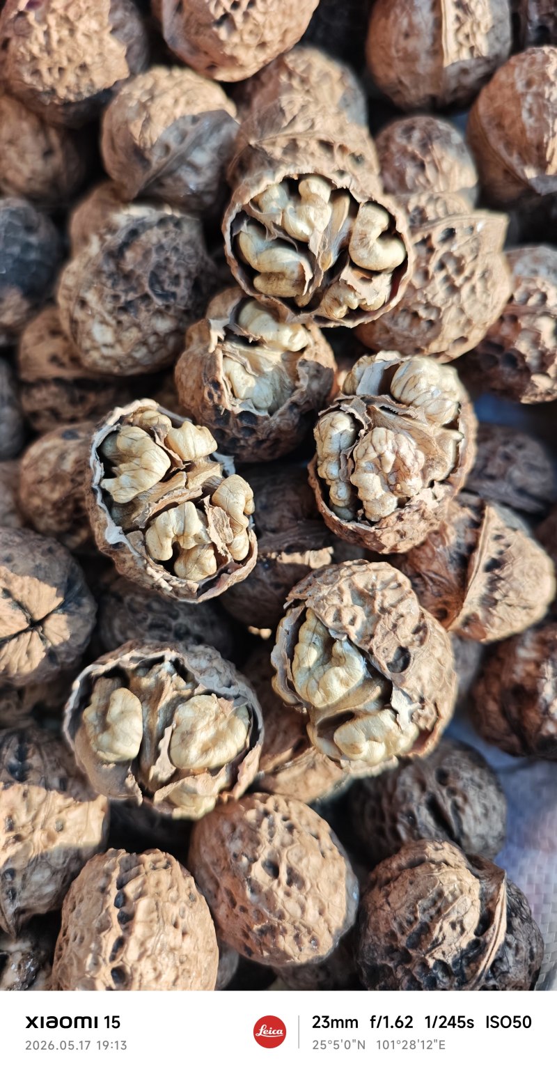云南薄皮核桃价格美丽质量好走货快对接全国量大从优欢迎询价