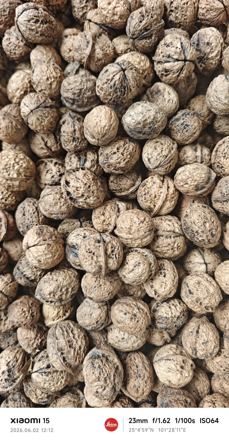 云南薄皮核桃价格美丽质量好走货快对接全国量大从优欢迎询价