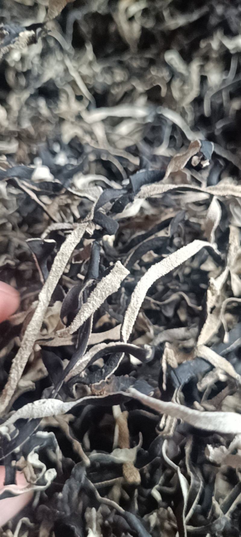 精品木耳丝加工厂电商木耳丝无根木耳丝优质木耳丝产地一手货