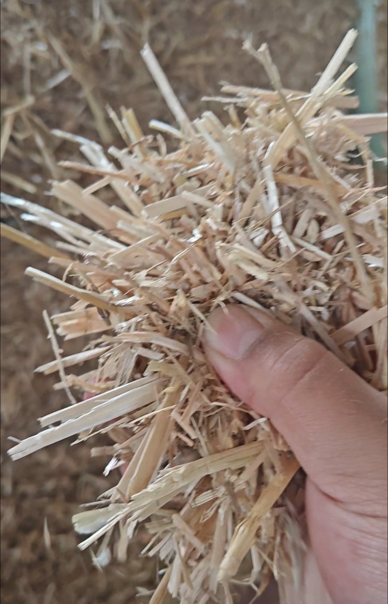 精品揉丝优质小麦秸秆小套袋，牛草干料，二次除尘，草料干净