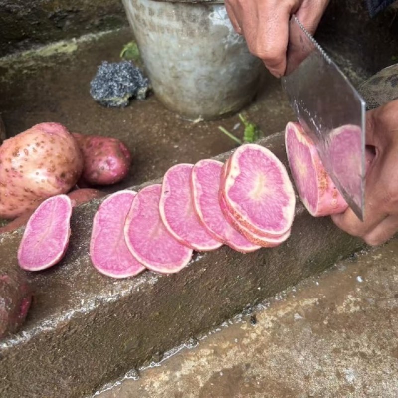 七彩土豆