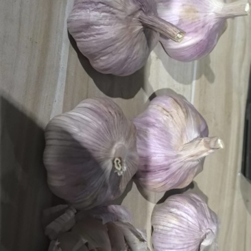 邳州精品大蒜