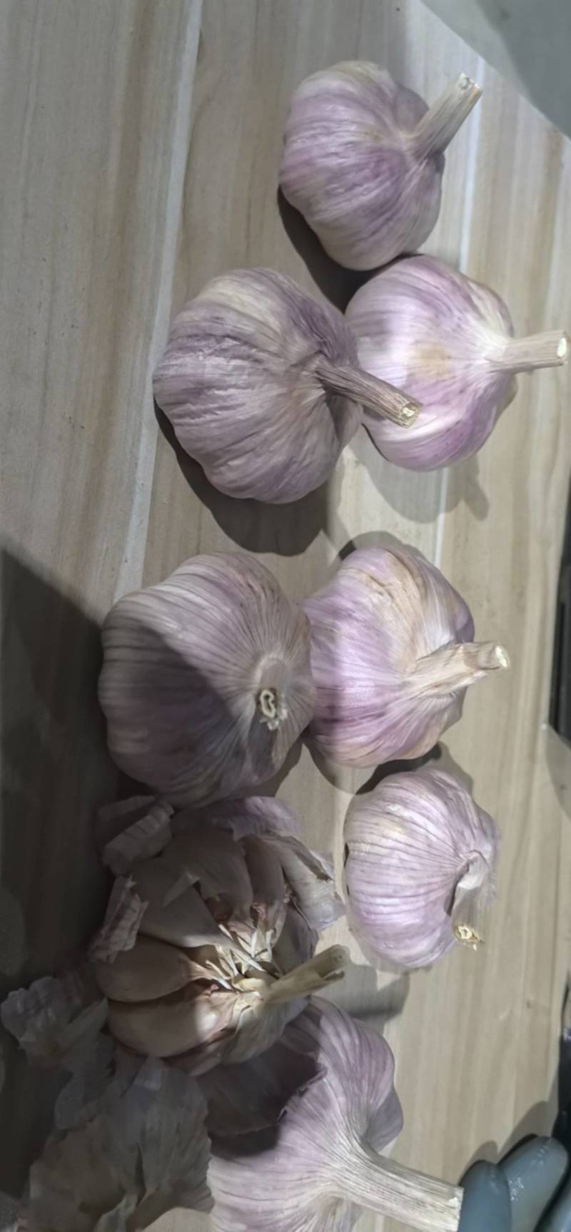 邳州精品大蒜