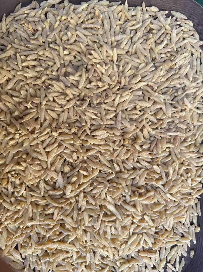 川麦冬零差评零投百万销量广州店售后无忧