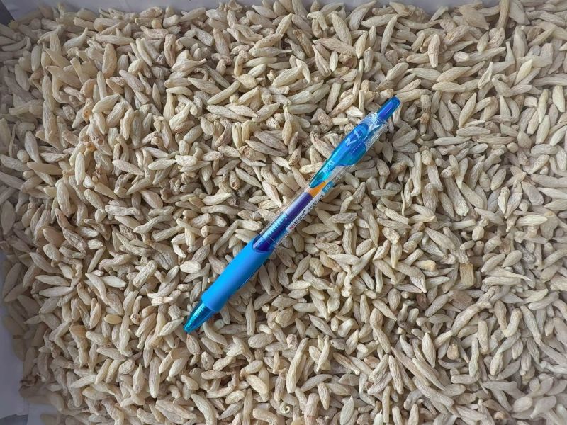 川麦冬零差评零投百万销量广州店售后无忧