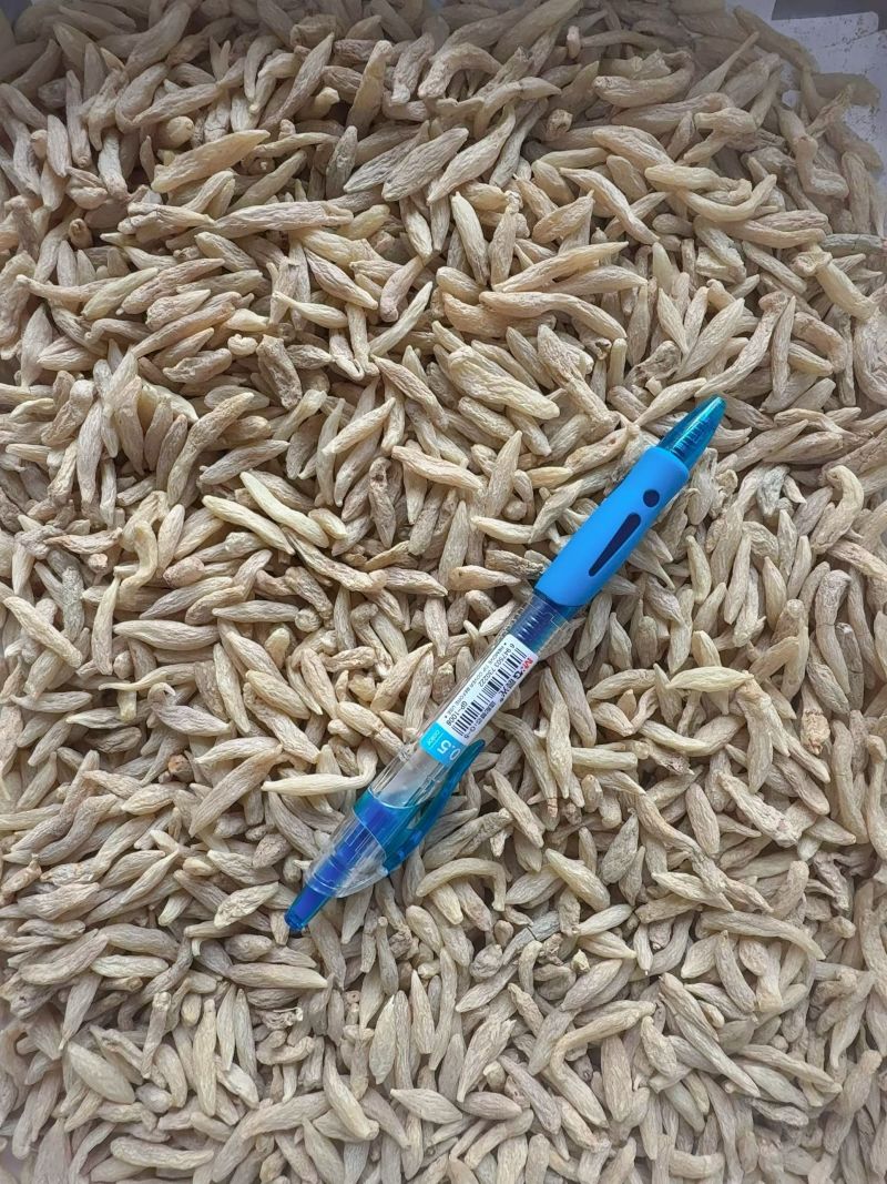 川麦冬零差评零投百万销量广州店售后无忧
