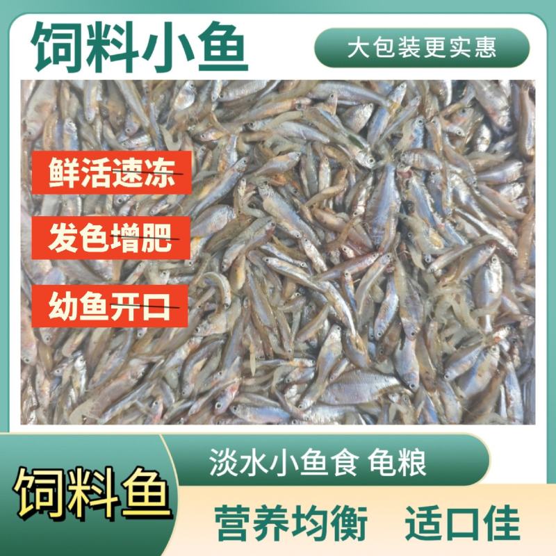 饲料鱼鱼食，未开肚速冻，增肥发色幼鱼开口