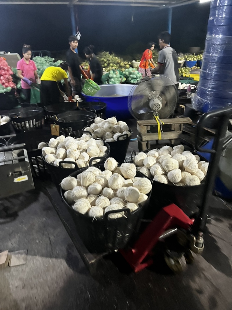 香椰水单倍椰子水源头工厂供应椰水饮料香椰肉冻干原料