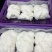 香椰水单倍椰子水源头工厂供应椰水饮料香椰肉冻干原料