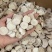 白芍大片零差评百万销量广州店售后无忧