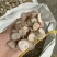 白芍大片零差评百万销量广州店售后无忧