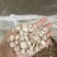白芍大片零差评百万销量广州店售后无忧