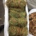鸡骨草有叶零差评百万销量广州店十年口碑