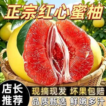 福建漳州平和柚子大量上市全网对接支持线上线下一件代发