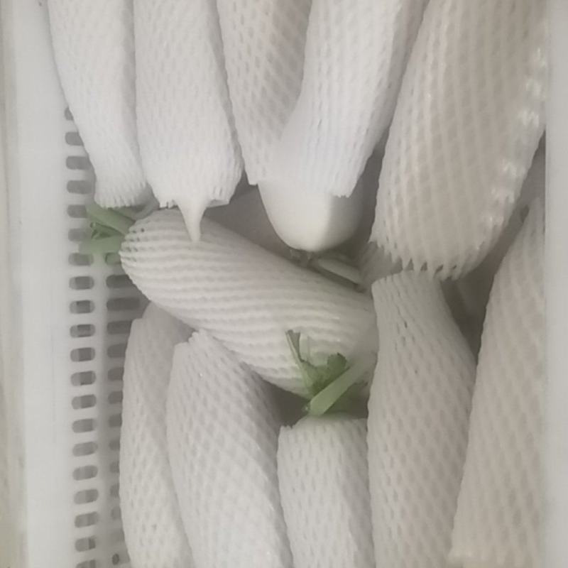 小个白萝卜