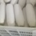 小个白萝卜